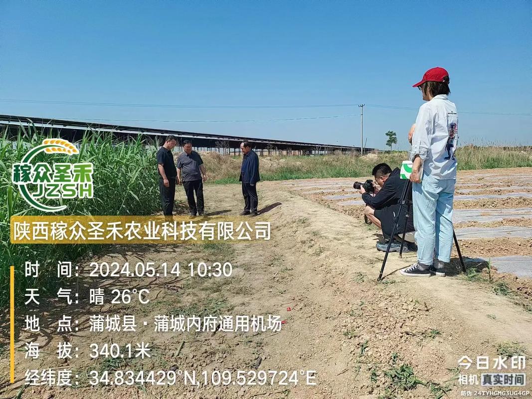 陕西省电视台《秦风吹过帕米尔》专题报道陕西稼众圣禾农业科技